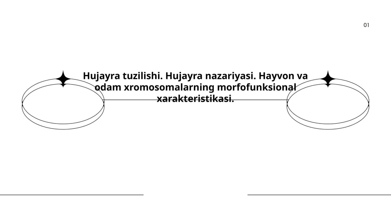 Hujayra tuzilishi. Hujayra nazariyasi. Hayvon va odam xromosomalarning morfofunksional xarakteristikasi
