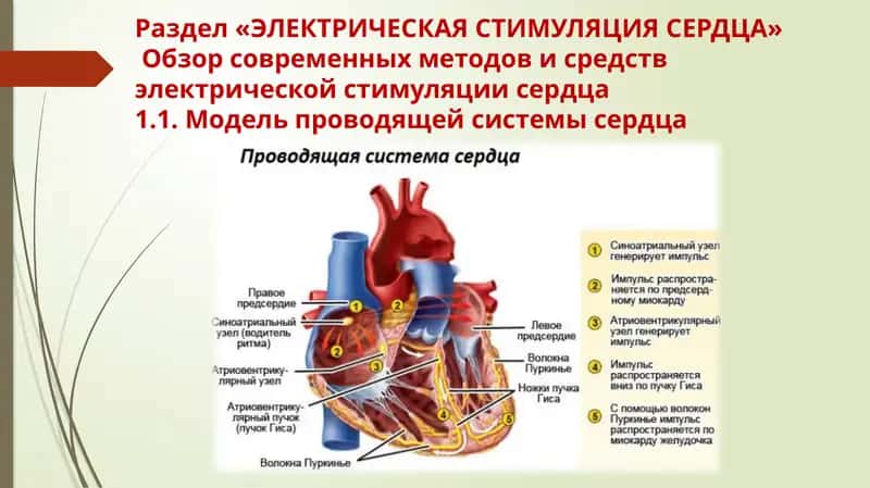 ЭЛЕКТРИЧЕСКАЯ СТИМУЛЯЦИЯ СЕРДЦА