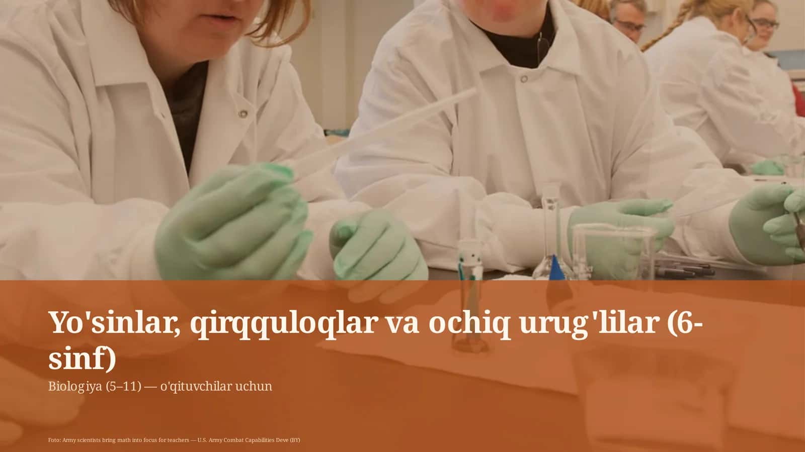 Yo'sinlar, qirqquloqlar va ochiq urug'lilar (6-sinf)