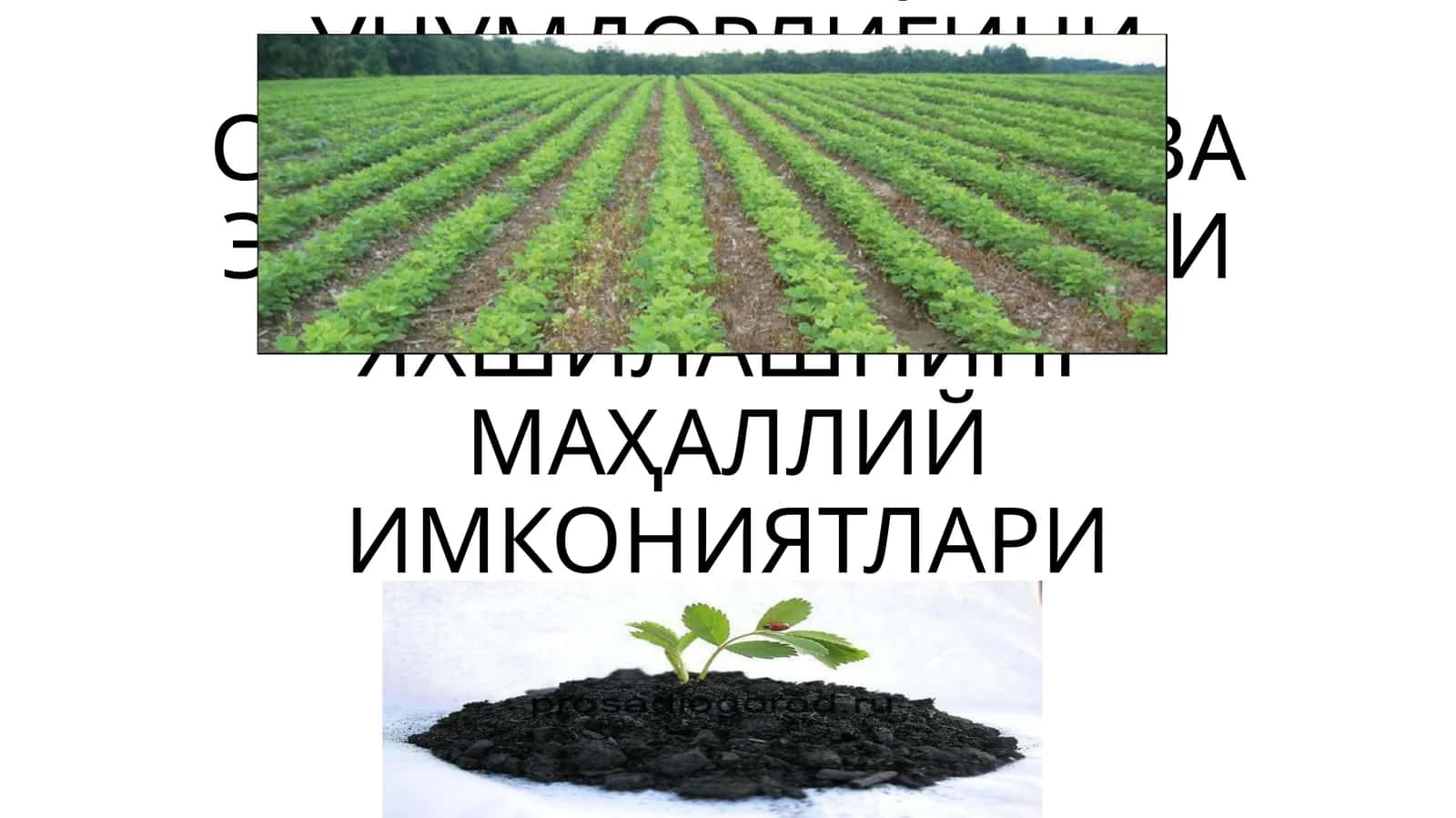 ТУПРОҚ УНУМДОРЛИГИНИ САҚЛАШ, ОШИРИШ ВА ЭКОЛОГИК ҲОЛАТИНИ ЯХШИЛАШНИНГ МАҲАЛЛИЙ ИМКОНИЯТЛАРИ