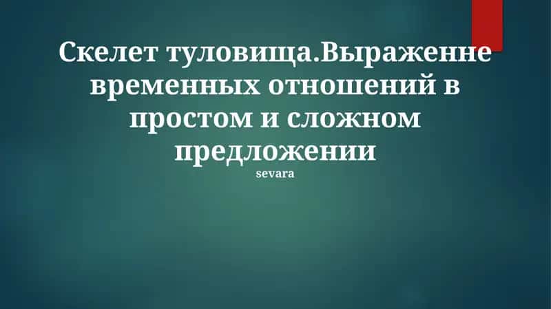 Скелет туловища