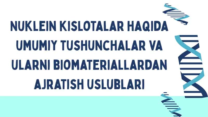 Nuklein kislotalar