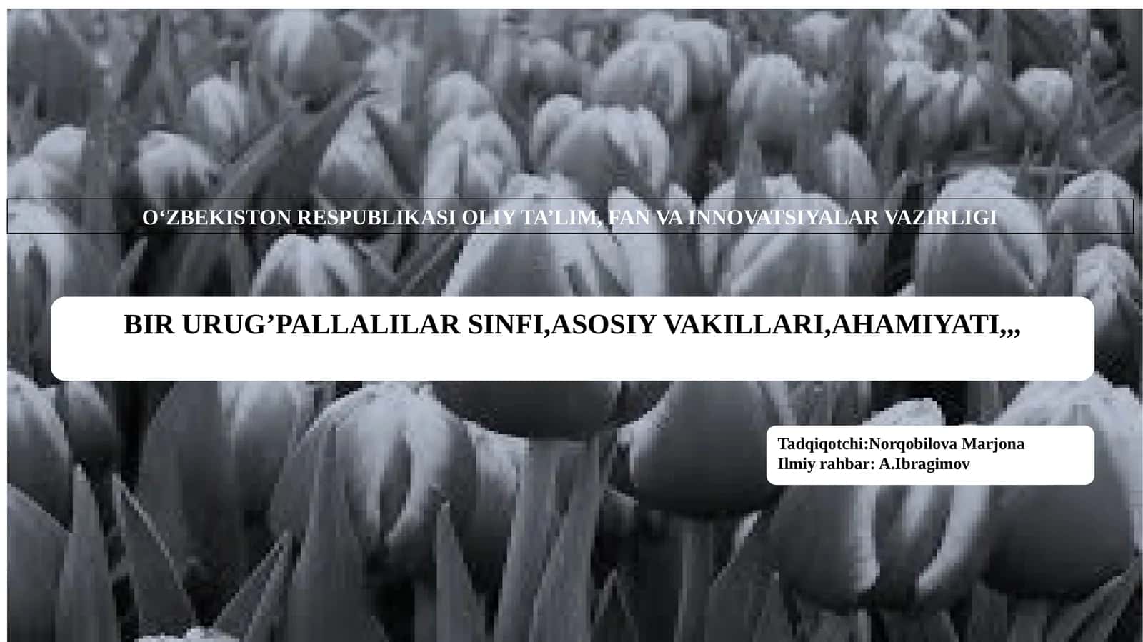 BIR URUG’PALLALILARSINFI,ASOSIYVAKILLARI,AHAMIYATI