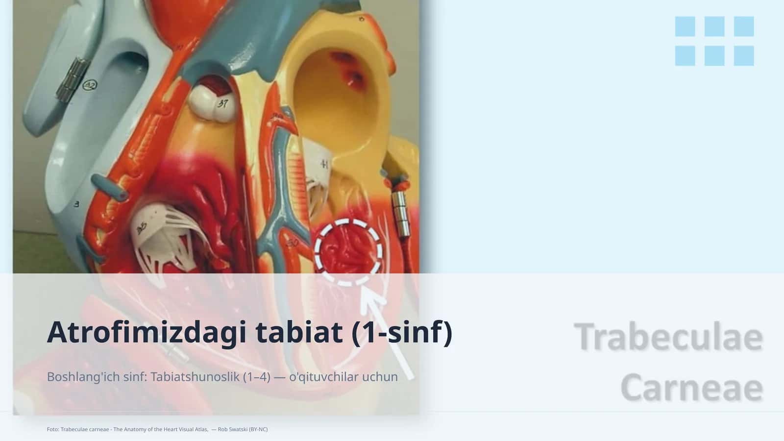 Atrofimizdagi tabiat (1-sinf)