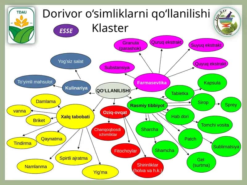 QO‘LLANILISHI