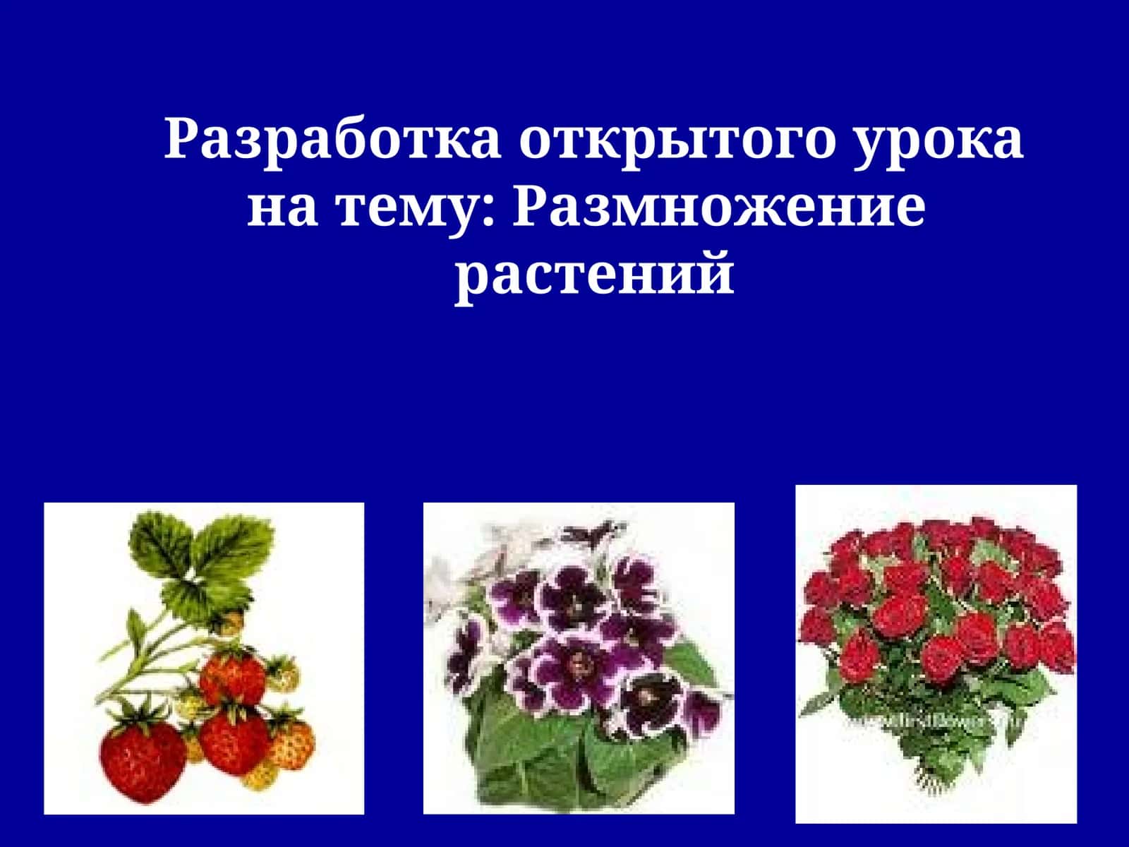 Разработка открытого урока на тему: Размножениерастений