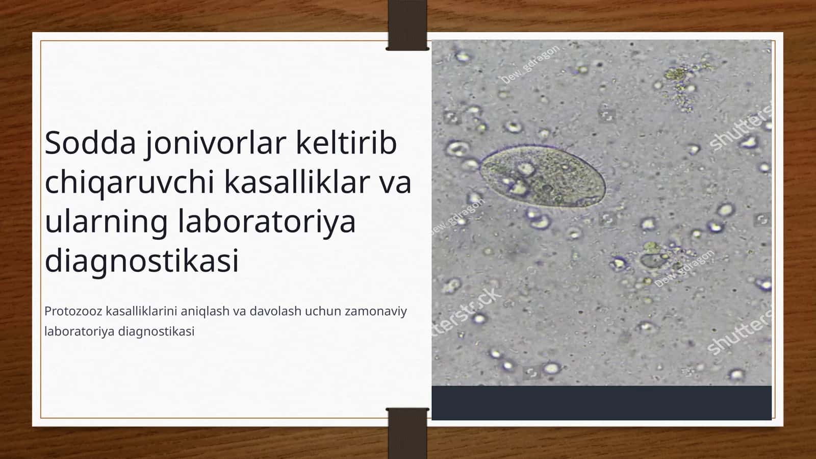 Sodda jonivorlar keltirib chiqaruvchi kasalliklar va ularning laboratoriya diagnostikasi