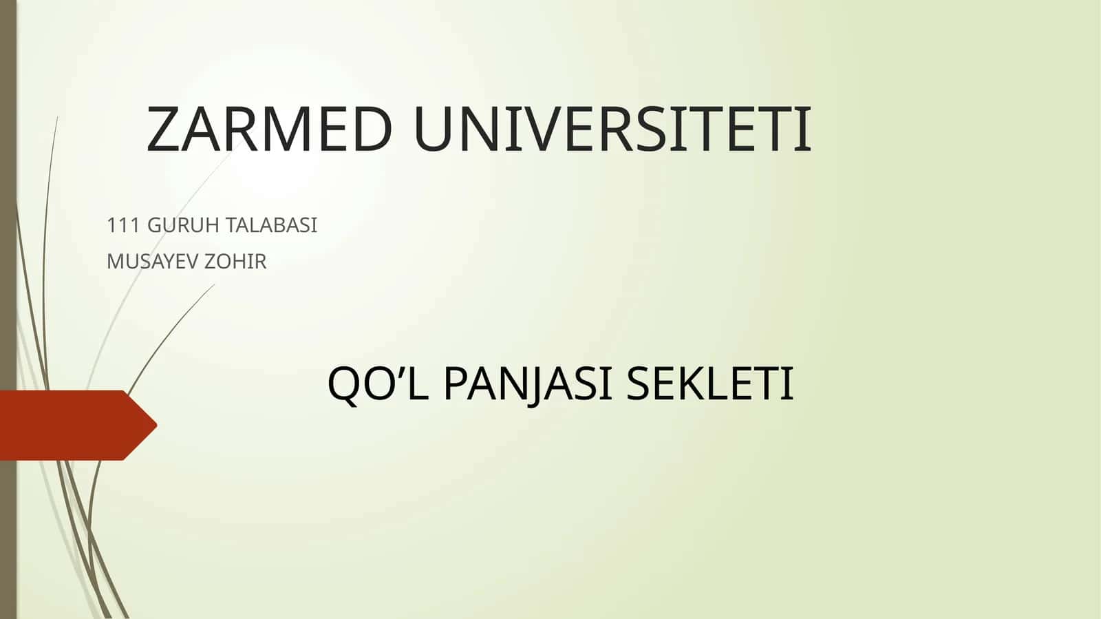 QO’L PANJASI SEKLETI