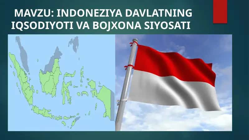 INDONEZIYA DAVLATNING IQSODIYOTI VA BOJXONA SIYOSATI