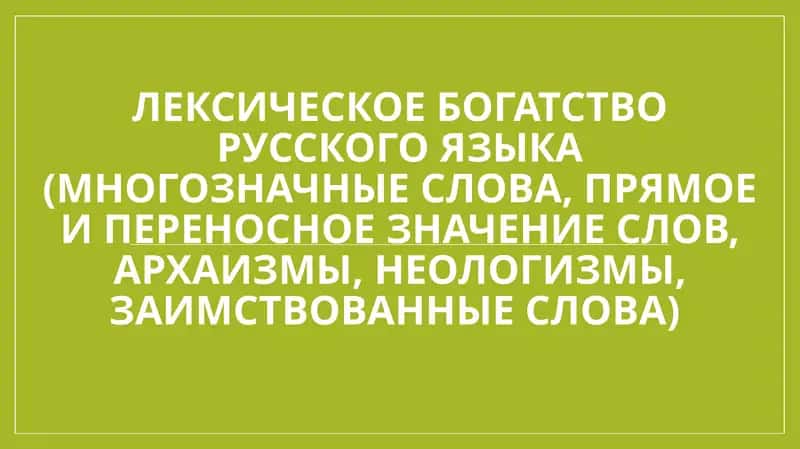 Лексическое богатство русского языка (многозначные слова, прямое и переносное значение слов, архаизмы, неологизмы, заимствованные слова)