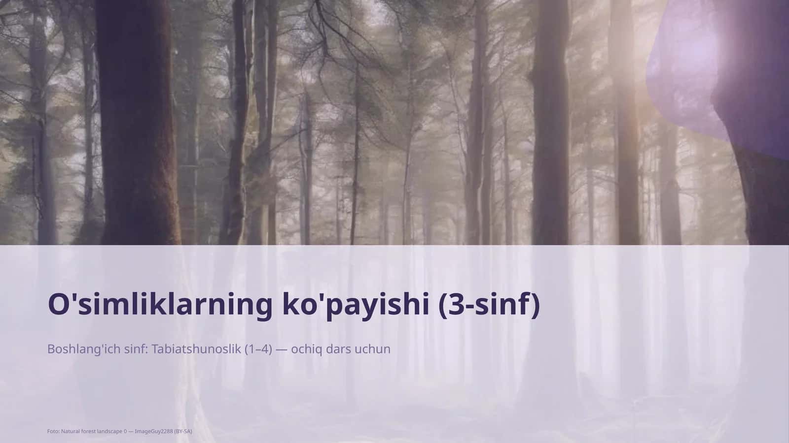 O'simliklarning ko'payishi (3-sinf)