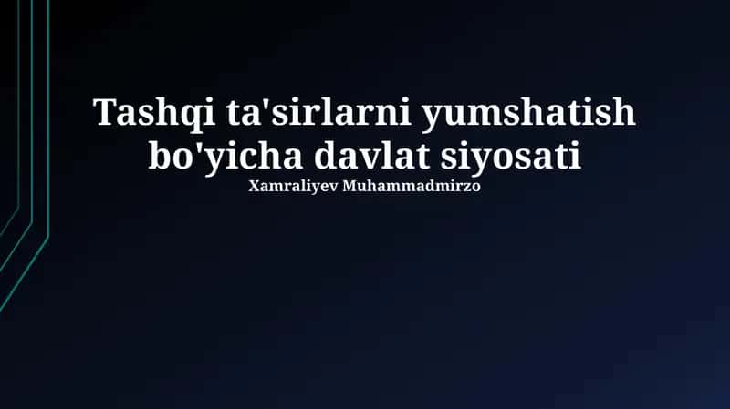 Tashqi ta'sirlarni yumshatish bo'yicha davlat siyosati