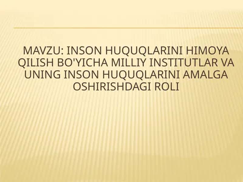 Inson huquqlarini himoya qilish bo'yicha milliy institutlar va uning inson huquqlarini amalga oshirishdagi roli