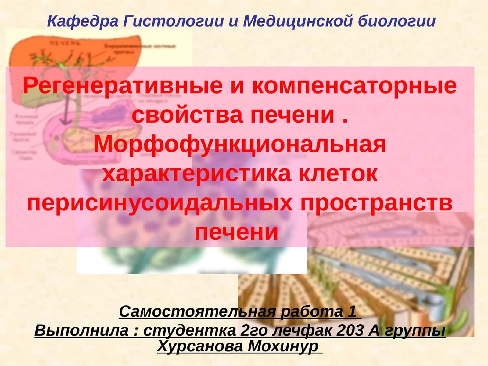 Регенеративные и компенсаторные свойства печени