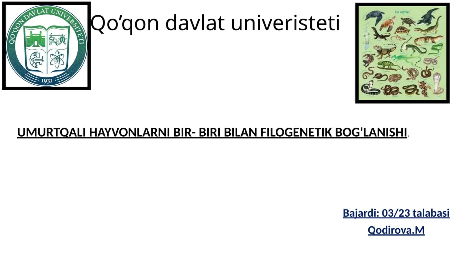 Umurtqali hayvonlarni bir-biri bilan filogenetik bog'lanishi