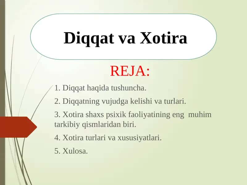 Diqqat va Xotira