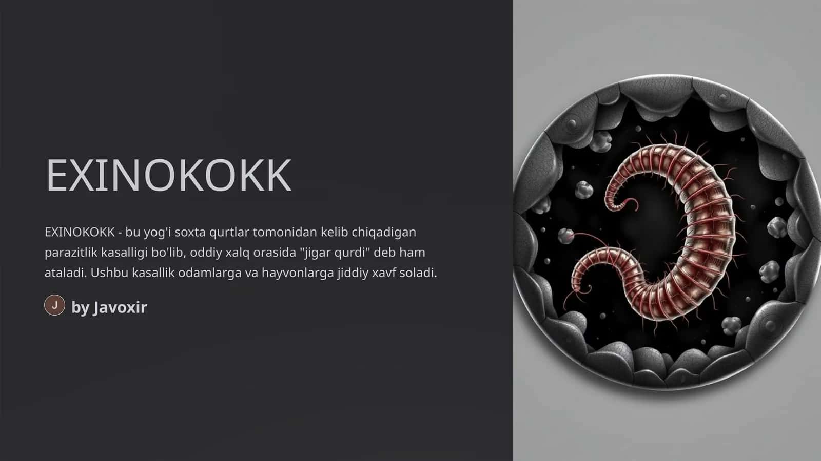EXINOKOKK