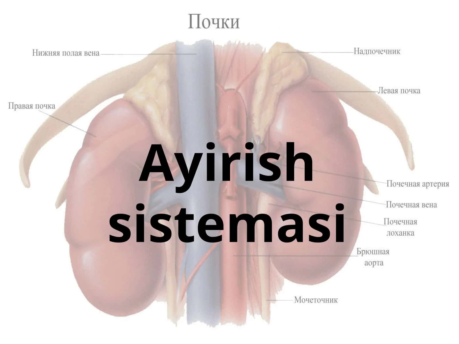 Ayirish sistemasi