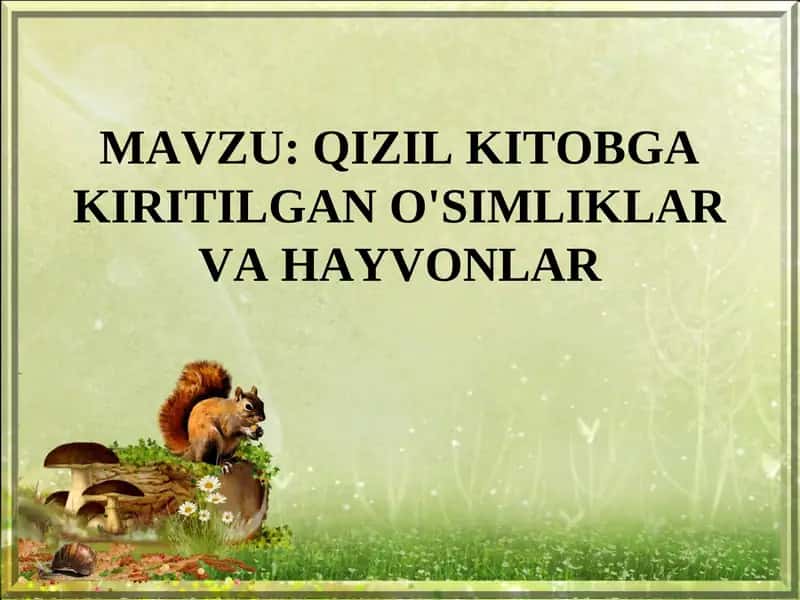 QIZIL KITOBGA KIRITILGAN O'SIMLIKLAR VA HAYVONLAR