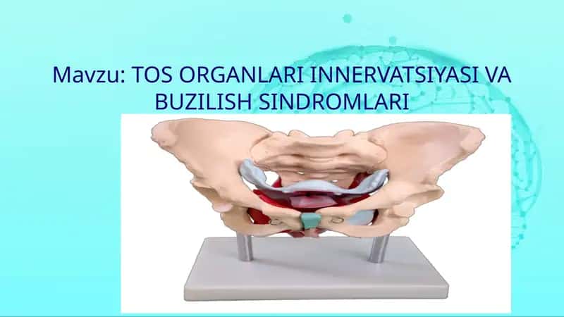 Tos organlari innervatsiyasi va buzilish sindromlari