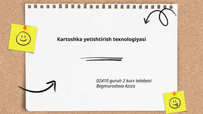 Kartoshka yetishtirish texnologiyasi