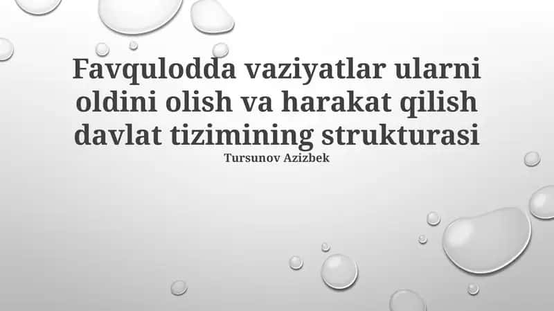 Favqulodda Vaziyatlarning Oldini Olish va Bartaraf etish Davlat Tizimining Tuzulimi