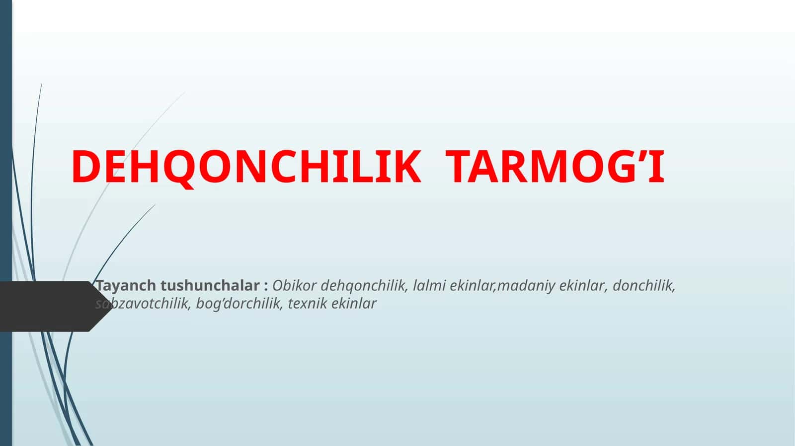 DEHQONCHILIK TARMOG’I