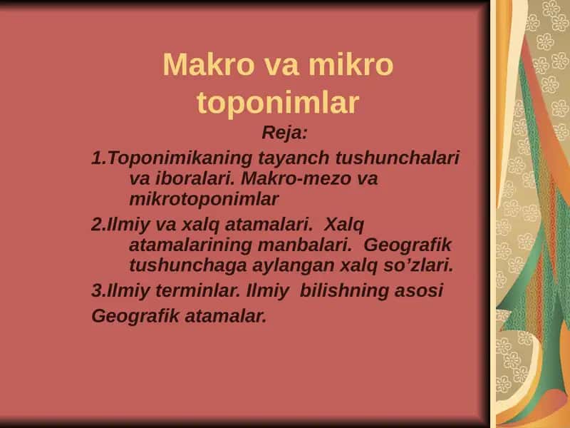 Makro va mikro toponimlar