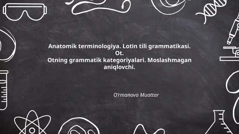 Anatomik terminologiya. Lotin tili grammatikasi