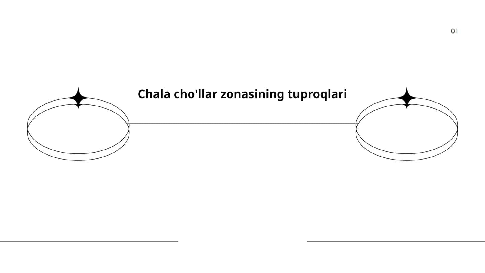 Chala cho'llar zonasining tuproqlari