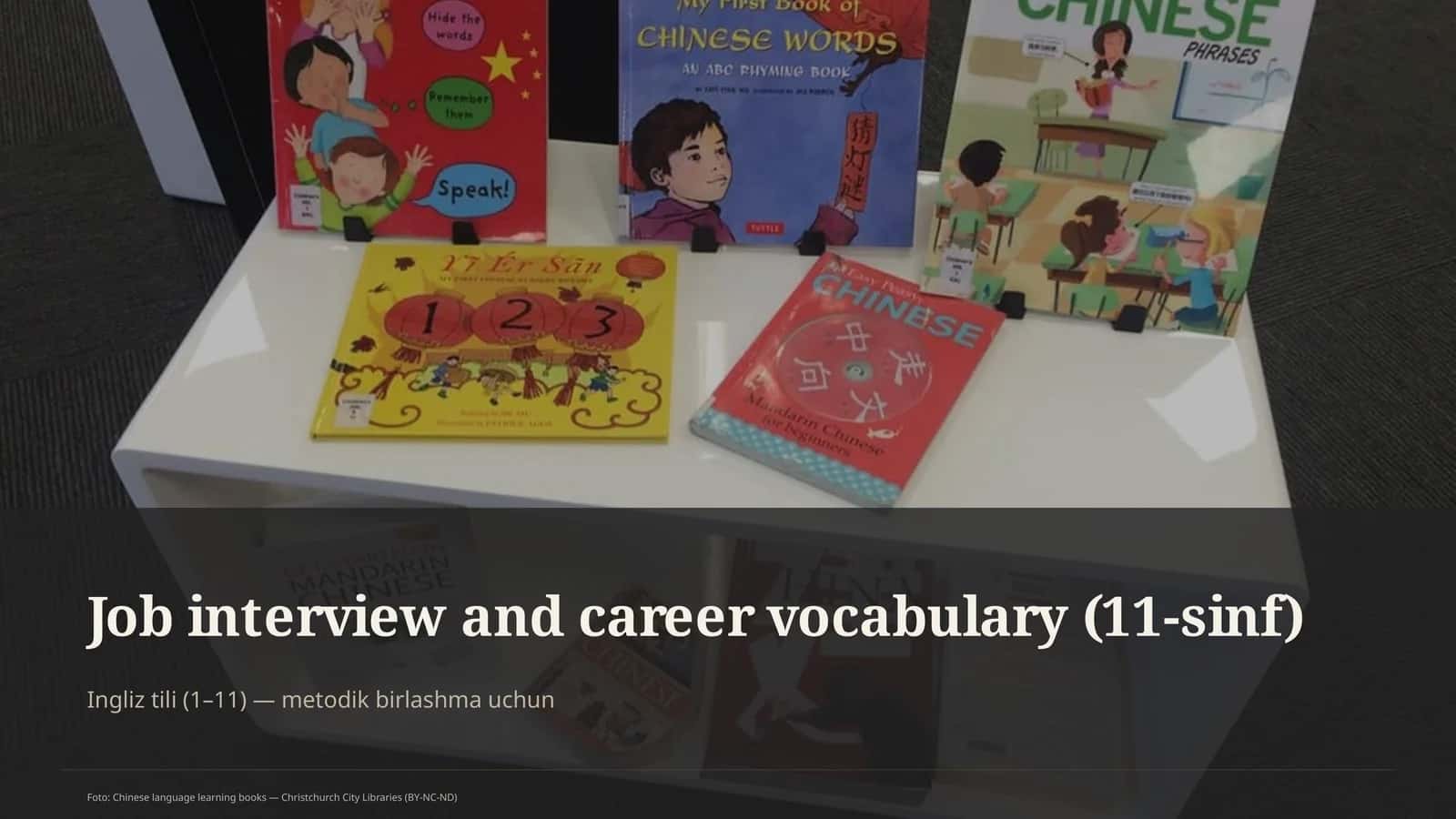 Job interview and career vocabulary (11-sinf)