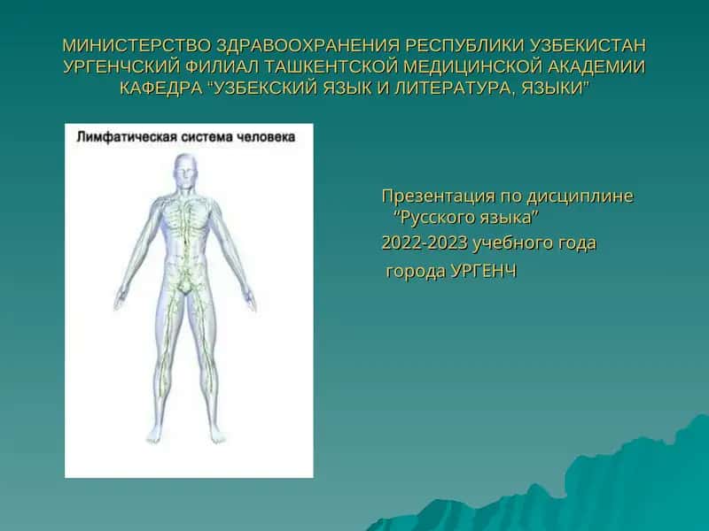 Лимфатическая система