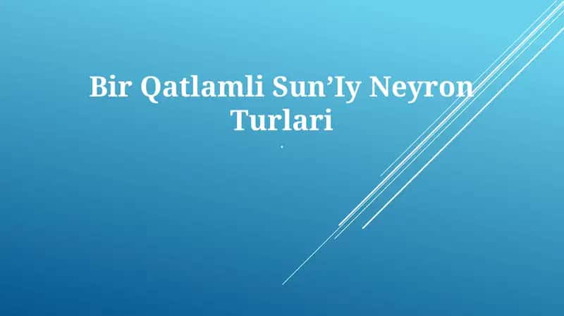 Bir Qatlamli SunʼIy Neyron Turlari