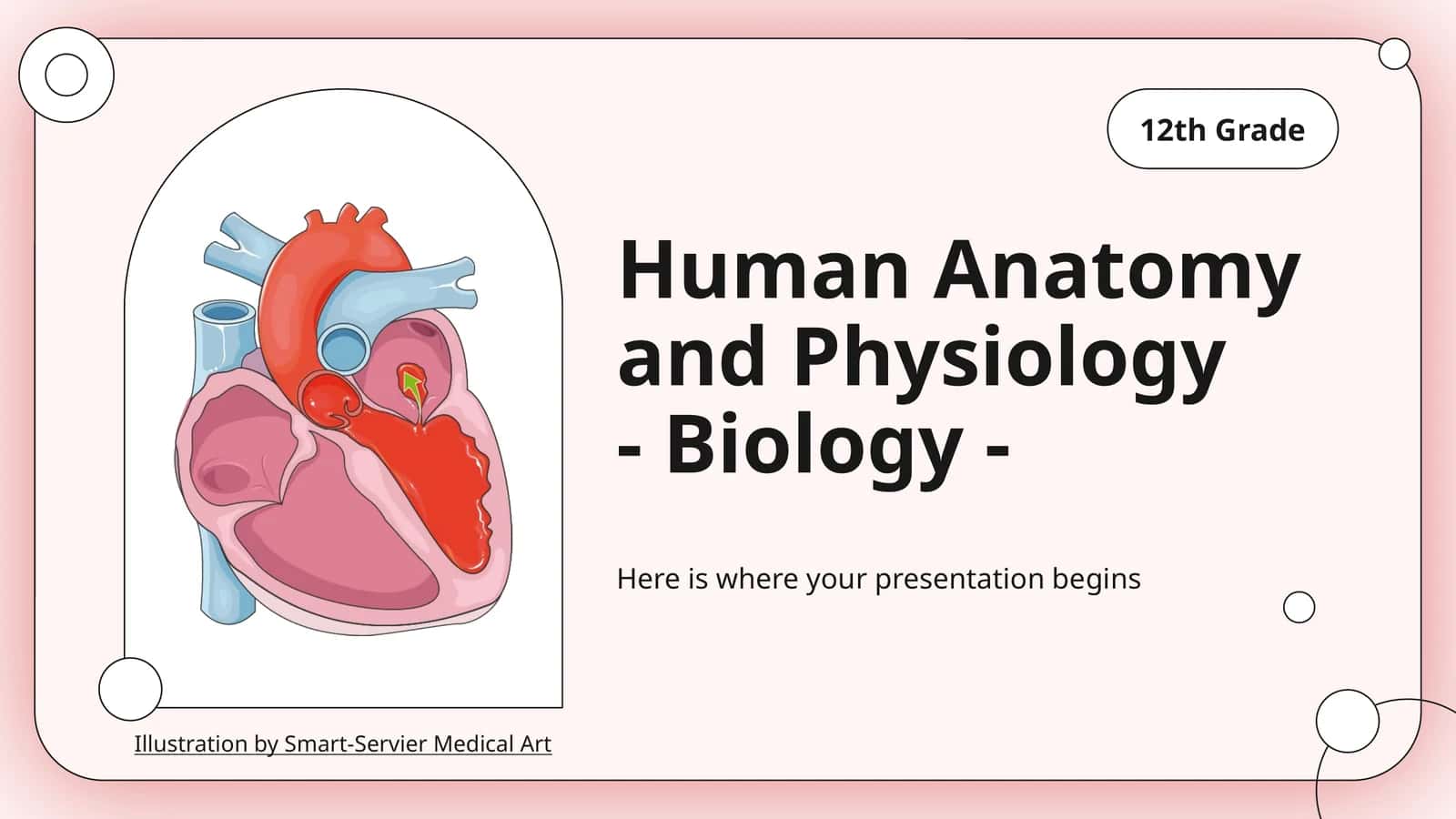 Human Anatomy and Physiology