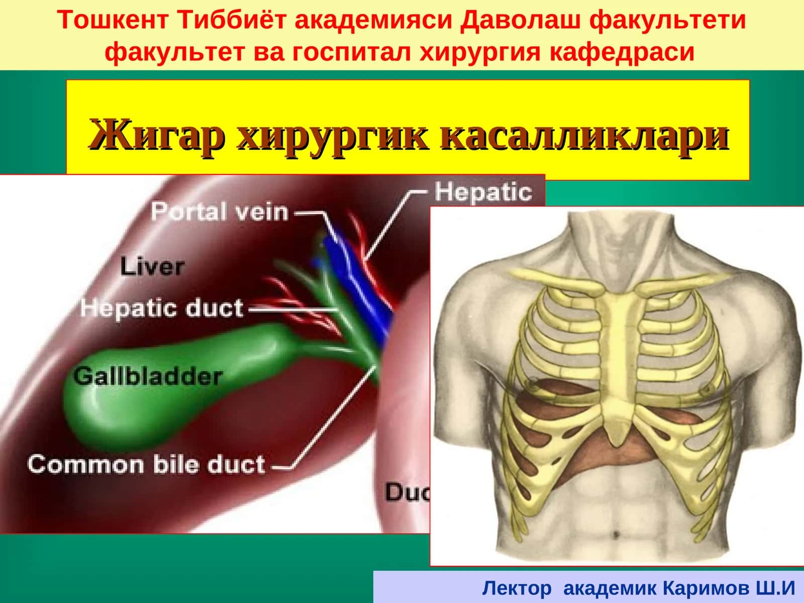 Жигар хирургик касалликлари