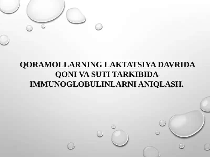 Tajribadagi sigirlar qoniga immunoglobulinlarni aniqlash