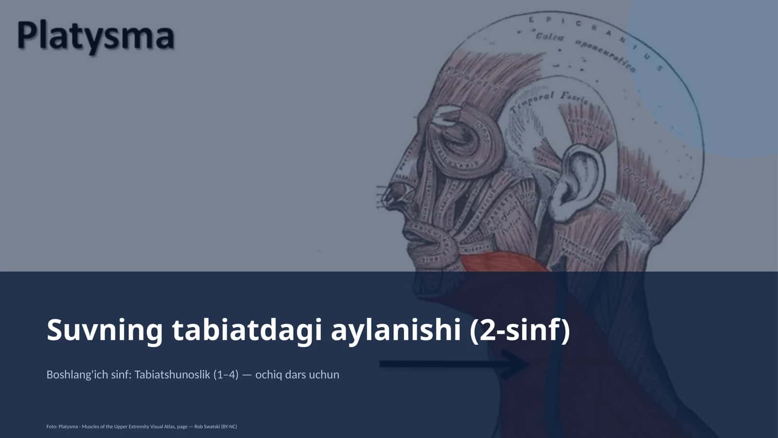 Suvning tabiatdagi aylanishi (2-sinf)