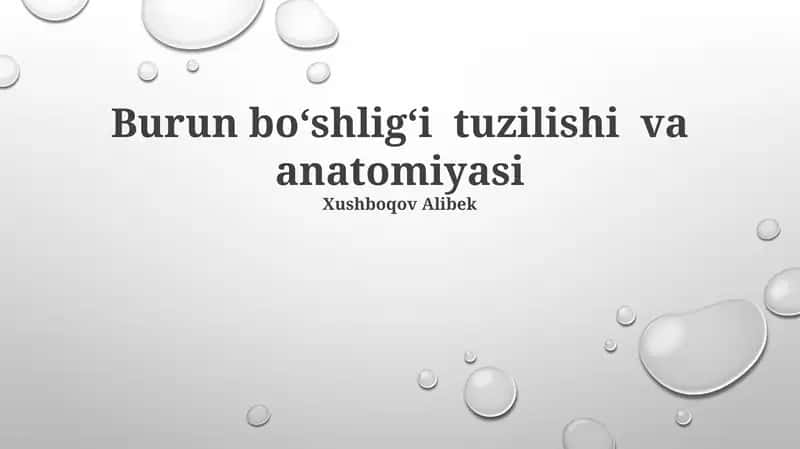 Burun boʻshligʻi tuzilishi va anatomiyasi