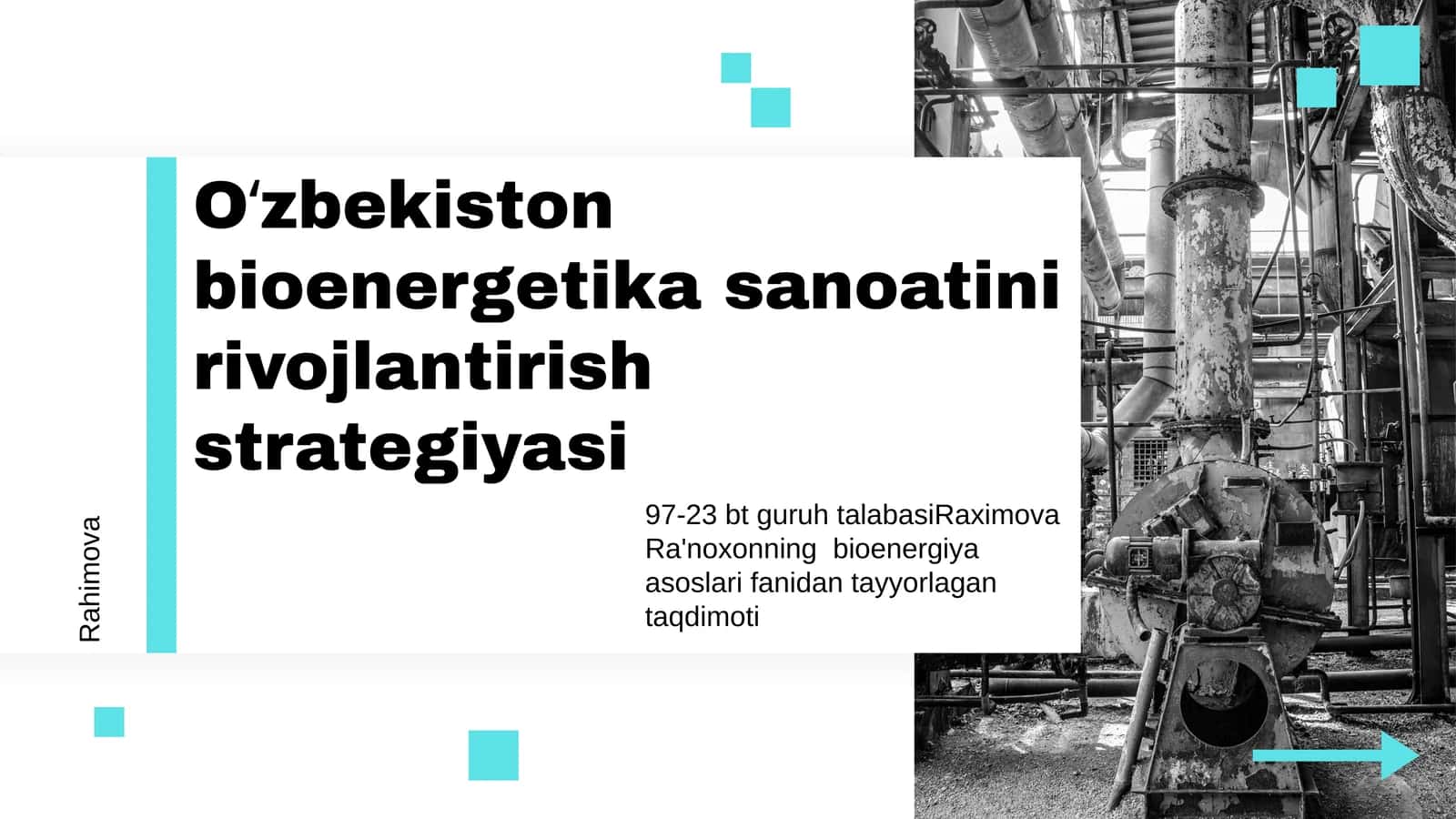 Oʻzbekiston bioenergetika sanoatini rivojlantirish strategiyasi