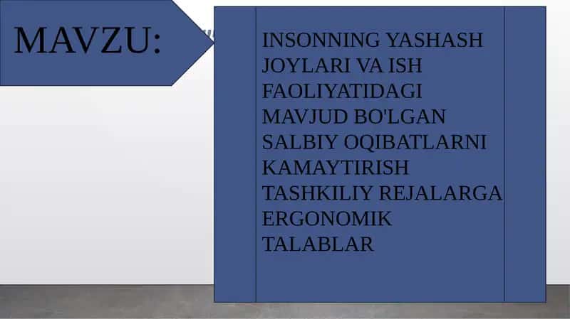 Insonning yashash joylari va ish faoliyatidagi mavjud bo'lgan salbiy oqibatlarni kamaytirish tashkiliy rejalar