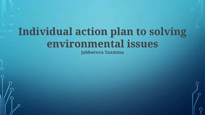 Individual Action Plan to Solving Environmental Issues