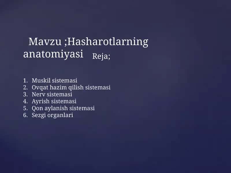 Hasharotlarning anatomiyasi