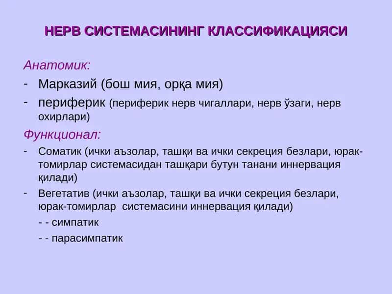 НЕРВ СИСТЕМАСИНИНГ КЛАССИФИКАЦИЯСИ