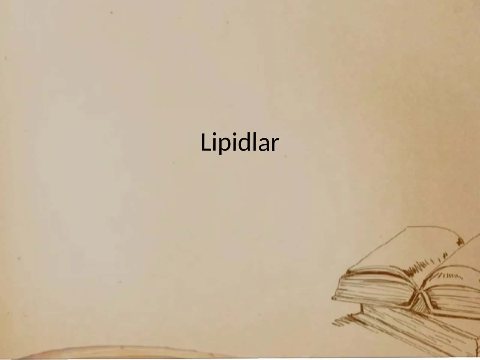 Lipidlar