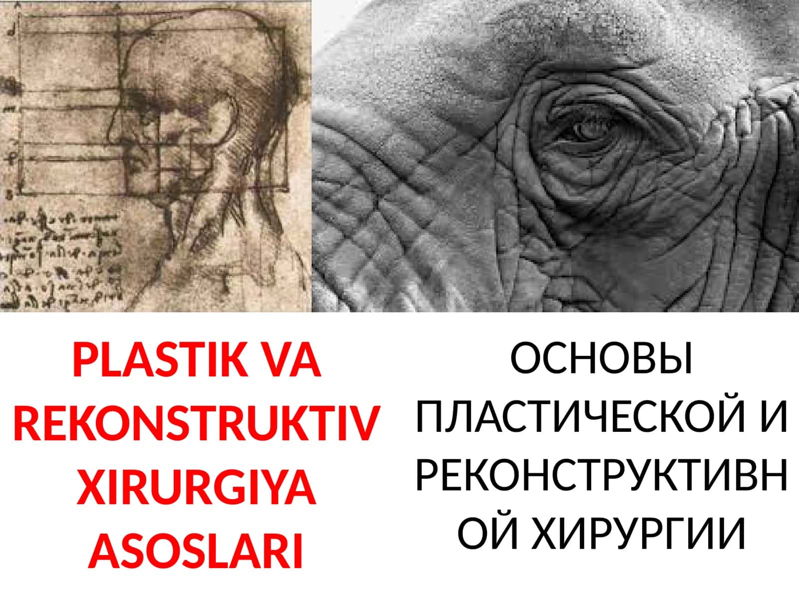 PLASTIK VA RЕKONSTRUKTIV XIRURGIYA ASOSLARI