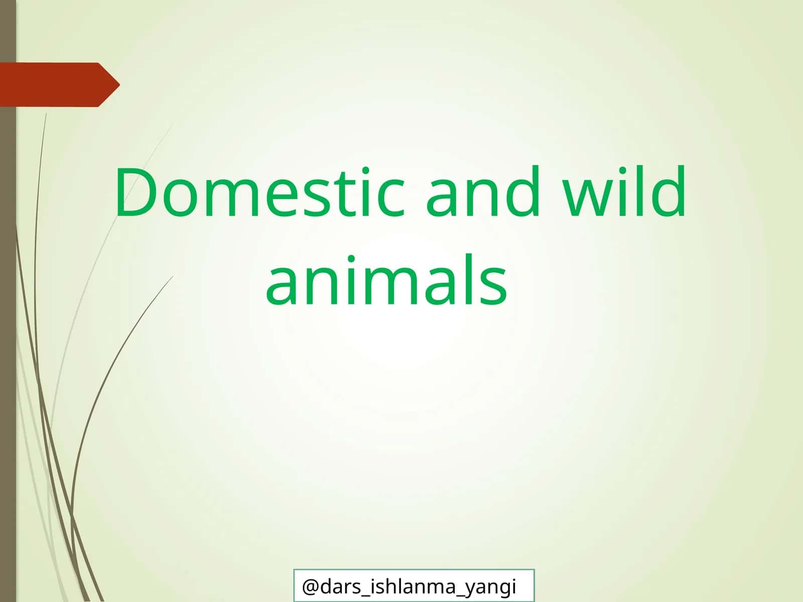 Domestic and Wild Animals