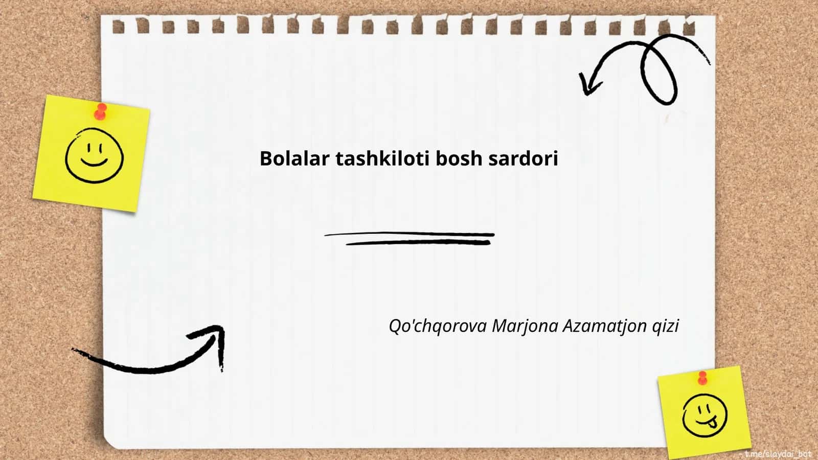 Bolalar tashkiloti bosh sardori