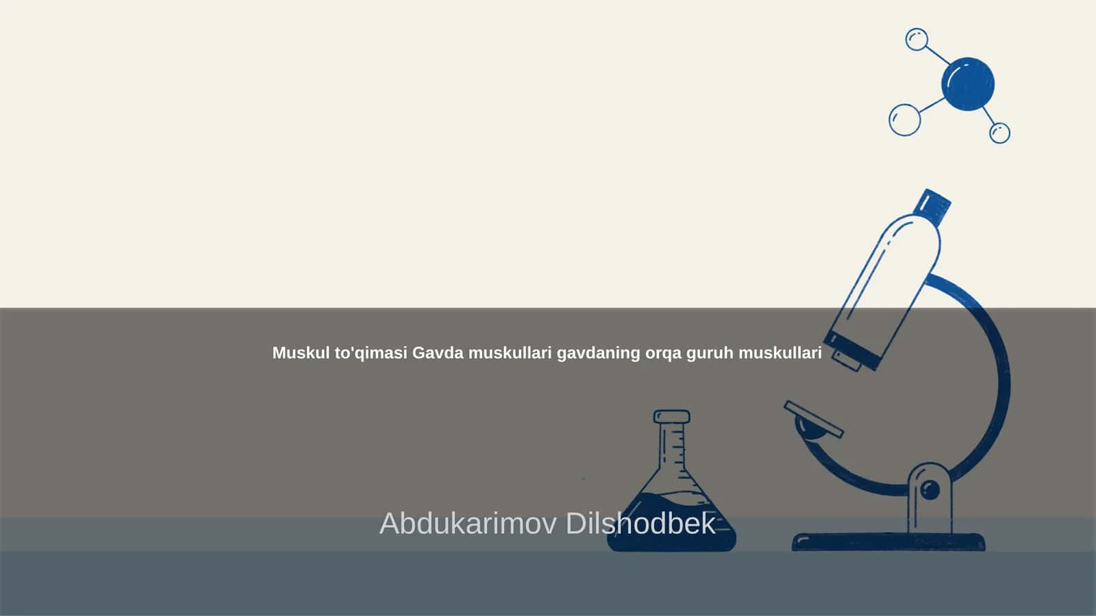 Muskul to'qimasi Gavda muskullari gavdaning orqa guruh muskullari