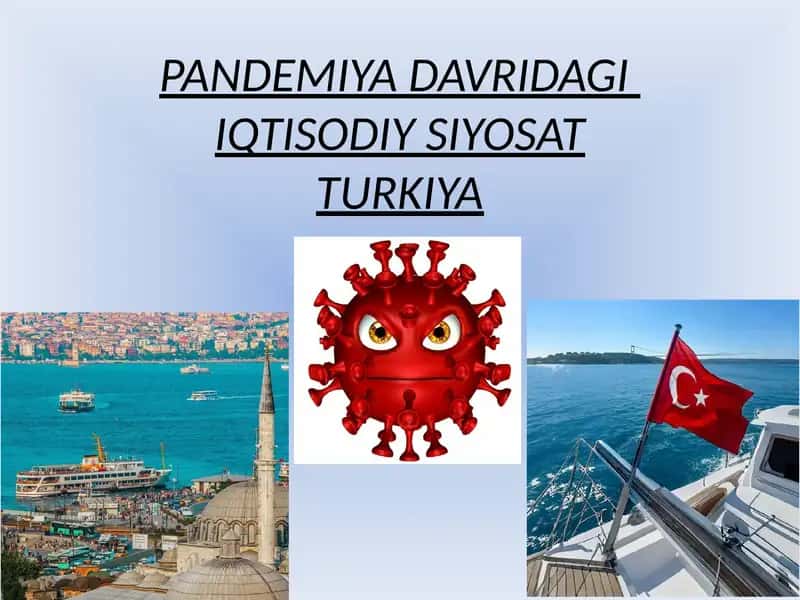 Pandemiya davrida iqtisodiy siyosat. TURKIYA