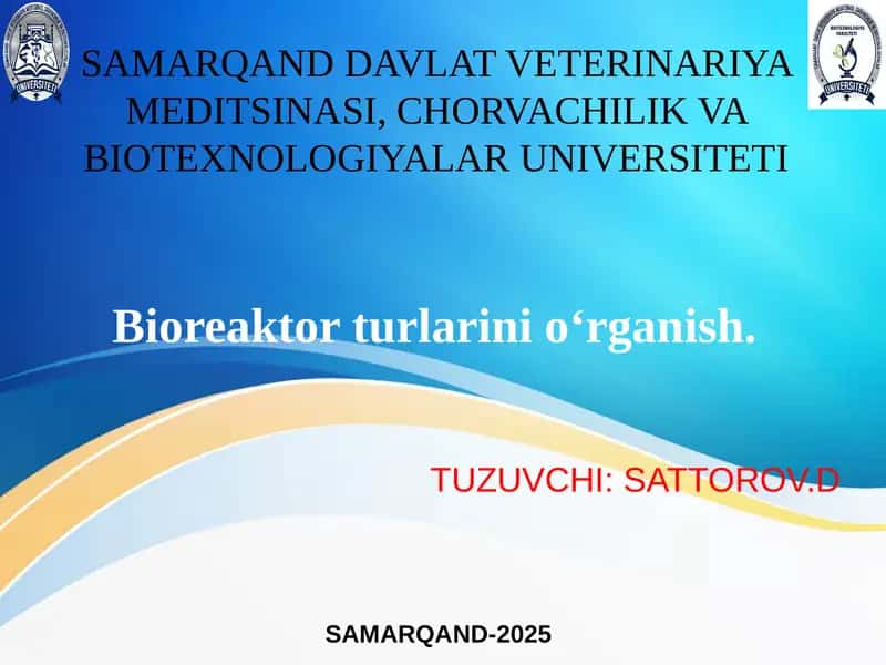 Bioreaktorturlarini o‘rganish